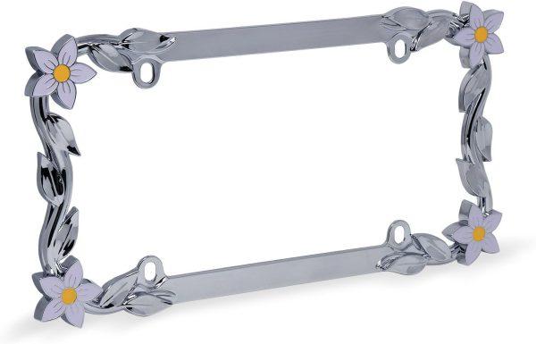 License Plate Frame, Chrome/Painted